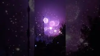 Салют 4