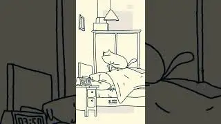 Всё котики ночью