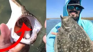How to Safely Release a Gut Hooked Fish