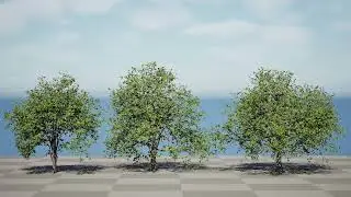Walnut Tree 3D animation with unreal engine