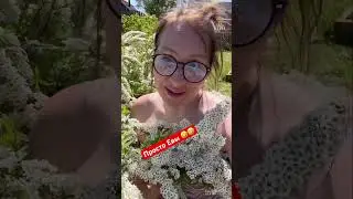 Подружки Евы #юмористическийконтент #дача 🫶🤣