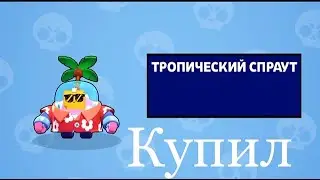 Шок! купил тропического спраута