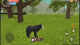 WildCraft (1часть) беременность