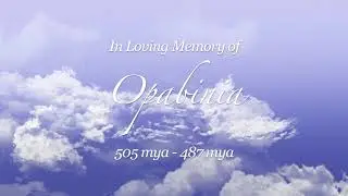 RIP Opabinia (Tribute)