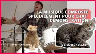 LA MUSIQUE COMPOSÉE SPÉCIALEMENT POUR CHAT - DÉMONSTRATION