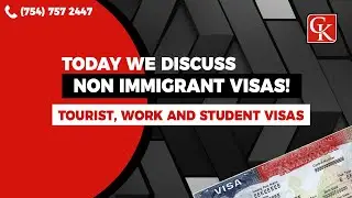 TODAY WE DISCUSS NON IMMIGRANT VISAS! What is a tourist visa? - Connie Kaplan