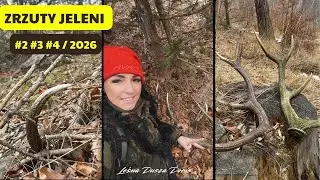 ZRZUTY 2026 Rozpoczęcie roku z PRZYTUPEM :D dzień konia 3 sztuki #zrzuty2026 #deer #zrzutyjeleni