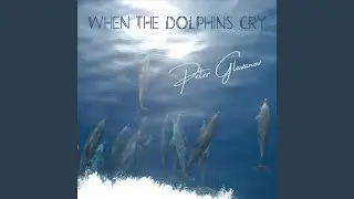 When the Dolphins Cry