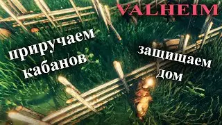 Вальхейм будни. Приручение кабанов и защита дома