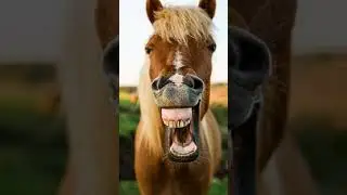 DESCUBRE la EDAD de un CABALLO por sus DIENTES #shorts #short #horse