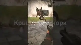 Выросли крылья