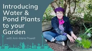 Introducing Water and Pond Plants to Your Garden | Garden Jobs for April with Ann-Marie Powell