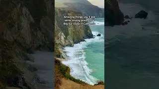 Must-See Stops for a Big Sur Road Trip 