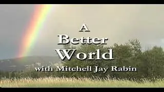 Jerry Wills   Medical Intuitive, Energy Healer, Teacher