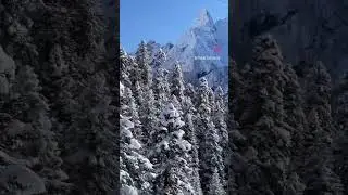 Путешествие #mountains #reels #shorts #snow #архыз #горы #домбай #зима #краснаяполяна #любовь