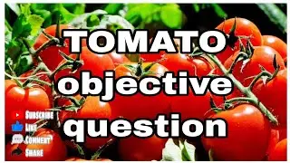 llThe Horticulture llobjective ll olericultur llquestion sirij 🍅 TOMATO 🍅