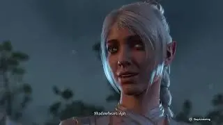 Baldur's Gate 3  Shadowheart romance dad joke at reunion