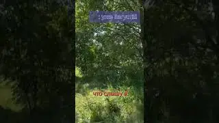 Август - это... продолжи в комментариях! #shorts