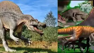 Animal Stampede Part 30