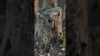 Quick lighting tip to improve your renders