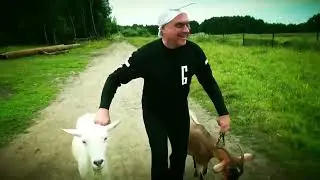 НОМ - Песня про зайцев  (NOM   Hare song)