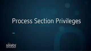 Assigning Process Section Privileges in QM10