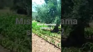 6 Eylül 2022