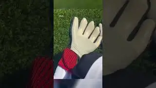 Adidas Predator GK Gloves Unboxing ASMR