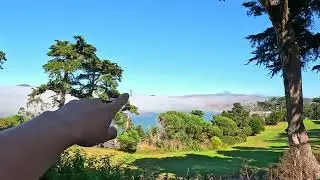 San Francisco: City of Fog and Homeless People / Let's explore the surrounding area