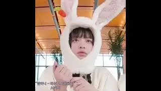 팜하니 - 애상 (1시간듣기) [AI Cover]