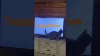 Герда против телика!😻