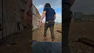 Catching And Shearing Run Wyoming May 2024