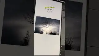 Überbelichtete Fotos in Adobe Lightroom retten. So klappt es. 