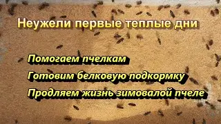 Экономим расход жирового тела зимовалой пчелы и увеличиваем срок ее жизни.