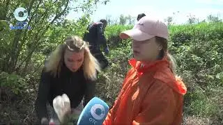 Чисто там, где не мусорят