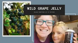 Wild Grape Jelly