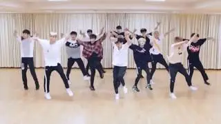 SEVENTEEN 'Don't Wanna Cry' mirrored Dance Practice