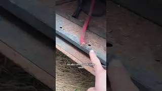 Another break-in at the Car Factory