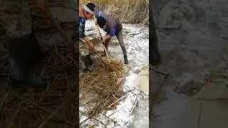 Рыбка на новогодний стол...