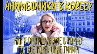 АНИМЕШНИКИ В КОРЕЕ? КОРЕЙСКИЕ ГИКИ. КАК Я СМОТРЮ АНИМЕ В КОРЕЕ