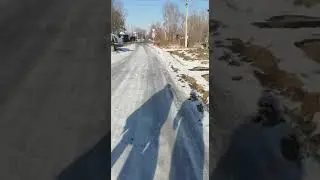 кормление котов