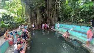 Famous Siquijor’s Balete Tree & Fish Spa