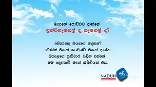 International School or Government School? [Best Schooling Decision for Your Kids]