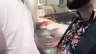 Ты кем себя возобновил?😂😂😂