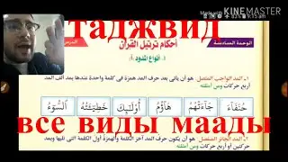 урок таджвид все виды маады(удлинения) в коране с арабом из книги нурь эль баянь № 10{чтение корана}