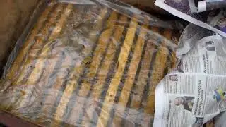 Стартер для вывода маток