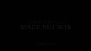 Stage RSCC (Pau 2018)