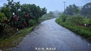 Rain Walk - Peaceful Village in Heavy Rain | Relaxing Ambience
