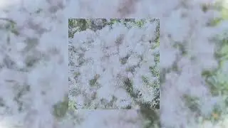 ooes-зима|| можно к тебе в гости?..|| speed up