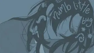 Numb Little Bug Cover